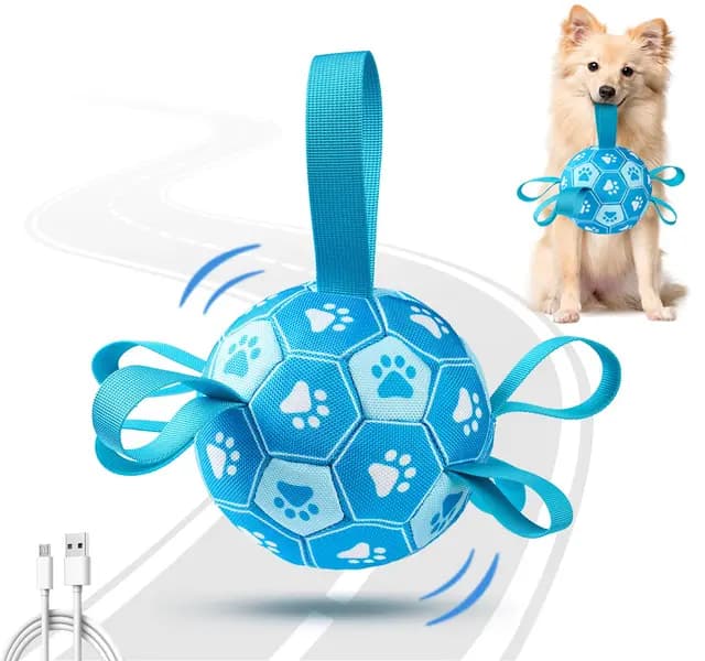 Qraxond USB-aufladbarer Hundeball