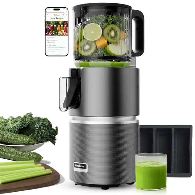 Anybear SJ081 Slow Juicer