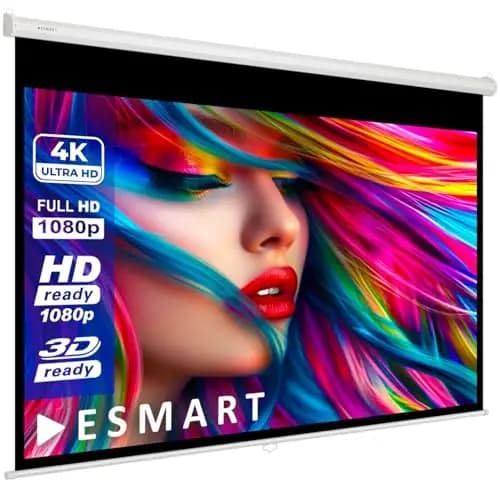 ESMART Economy EXR Rollo-Leinwand