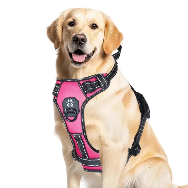 Cawjug 3005B Hundegeschirr
