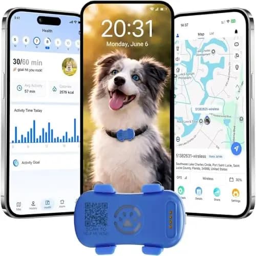 wanwaytech GP30 GPS-Hundetracker