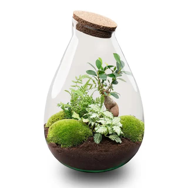 Urbanjngl Drop XL Terrarium