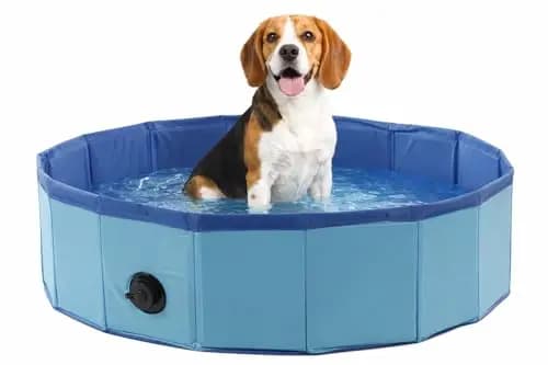 hundepool - runder hundepool blau 80x20 cm - robuster Kunststoff - faltbar - ohne pumpe - mit ablassventil - Sommer - wie kühlmatte Hund