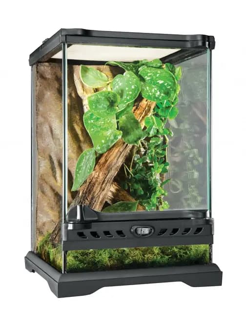 Exo Terra Glas-Nano-Terrarium