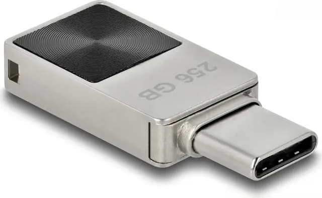 DeLOCK Mini USB-C Stick