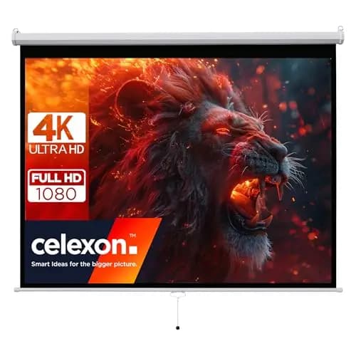 celexon Basic 100 Zoll Rollo-Leinwand