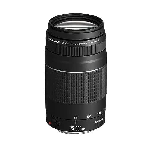 Canon 75-300mm Zoomobjektiv – Bild 1