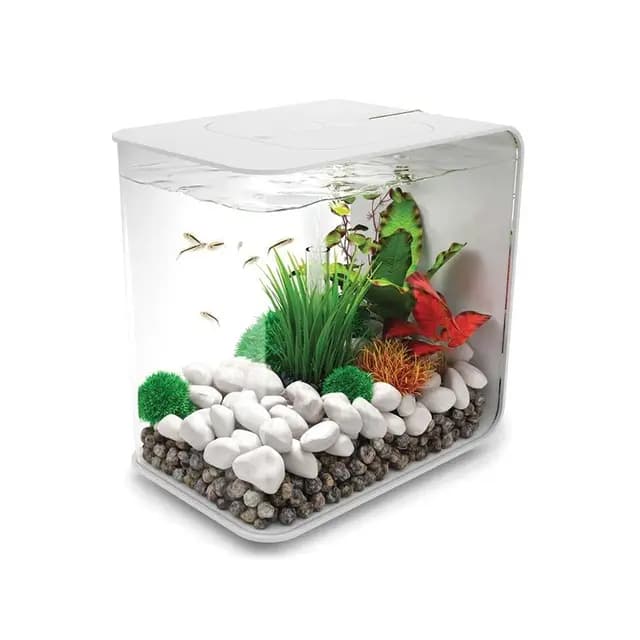 biOrb FLOW 30 Komplett-Aquarium