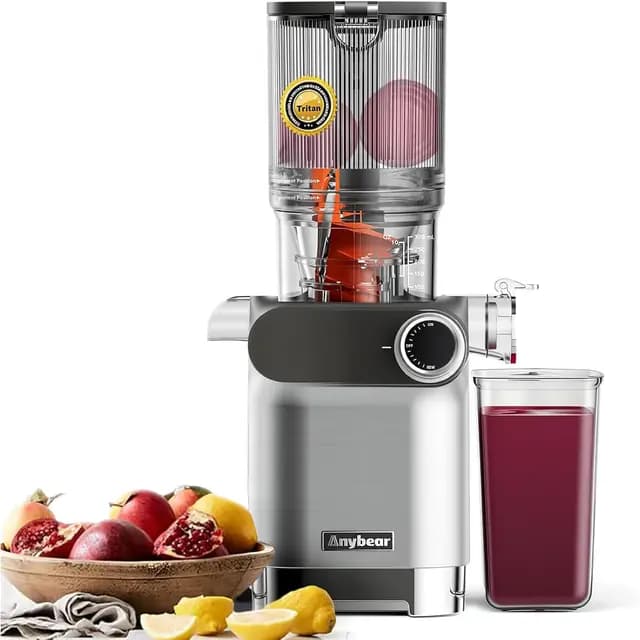 Anybear SJ054C Slow Juicer