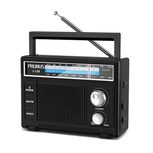 PRUNUS J-136 AM/FM Radio