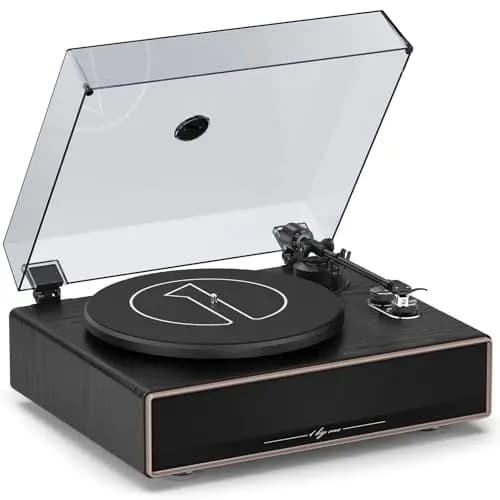 1byone AT-3600L Plattenspieler