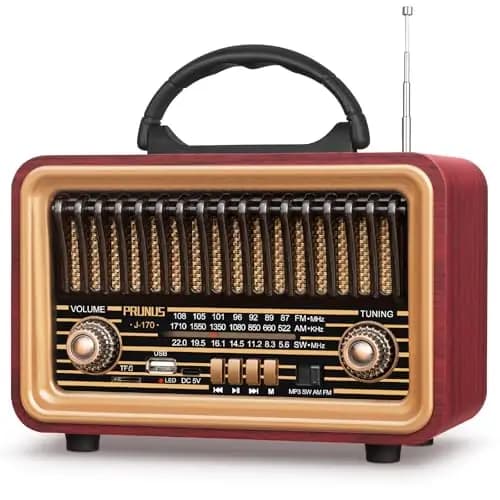 PRUNUS J-170 Bluetooth Radio