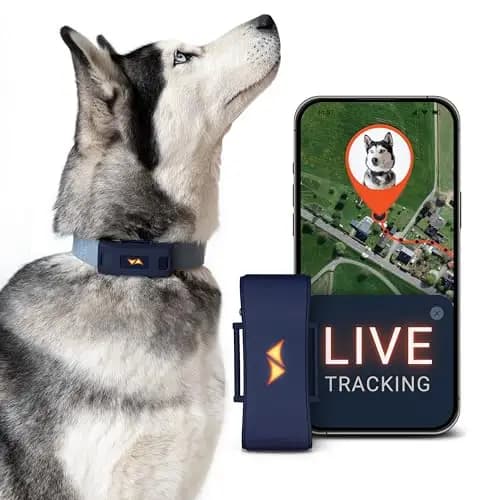PAJ 4G GPS-Hundetracker – Bild 1