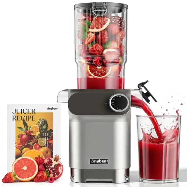 Anybear SJ054C Slow Juicer