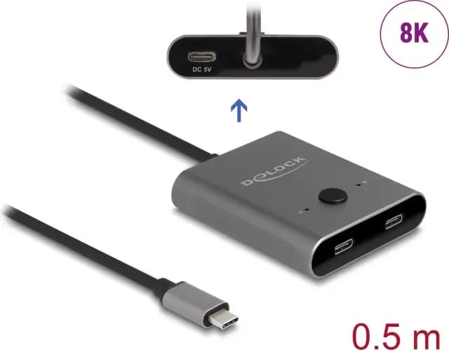 DeLOCK USB-C 2-auf-1 Switch
