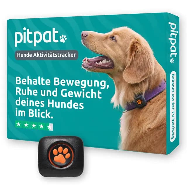 PitPat Aktivitäts-Tracker für Hunde