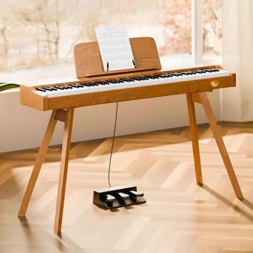TERENCE P37 Digitalpiano 61 Tasten Hammermechanik