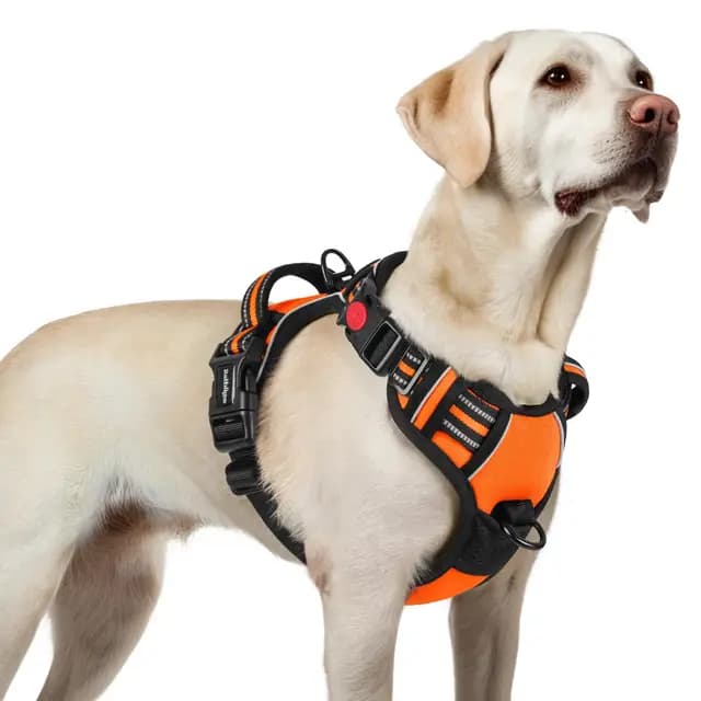 rabbitgoo Verstellbares Hundegeschirr Orange