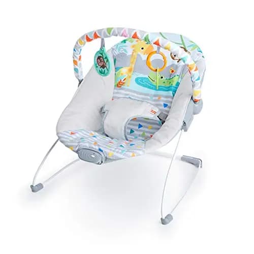 Bright Starts Safari Fun Babyschaukel