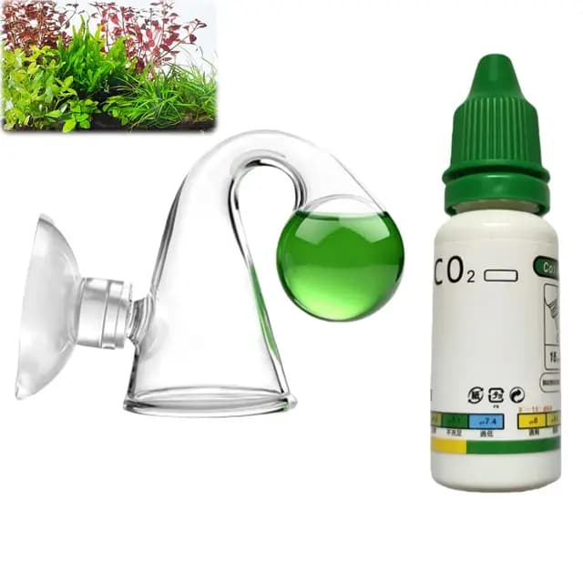 WALDSEELE CO2 Dauertest Aquarium