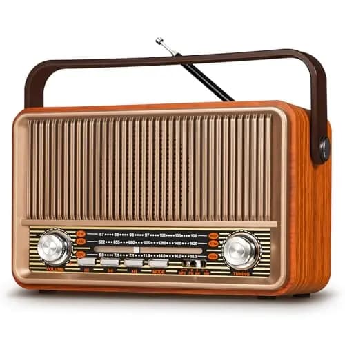 PRUNUS J-120 Retro Radio