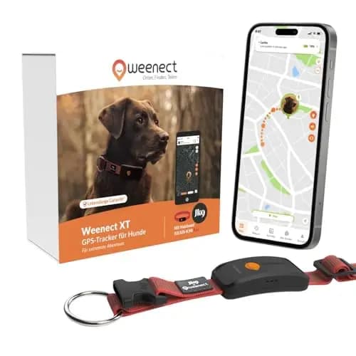 Weenect XT GPS-Halsband für Hunde