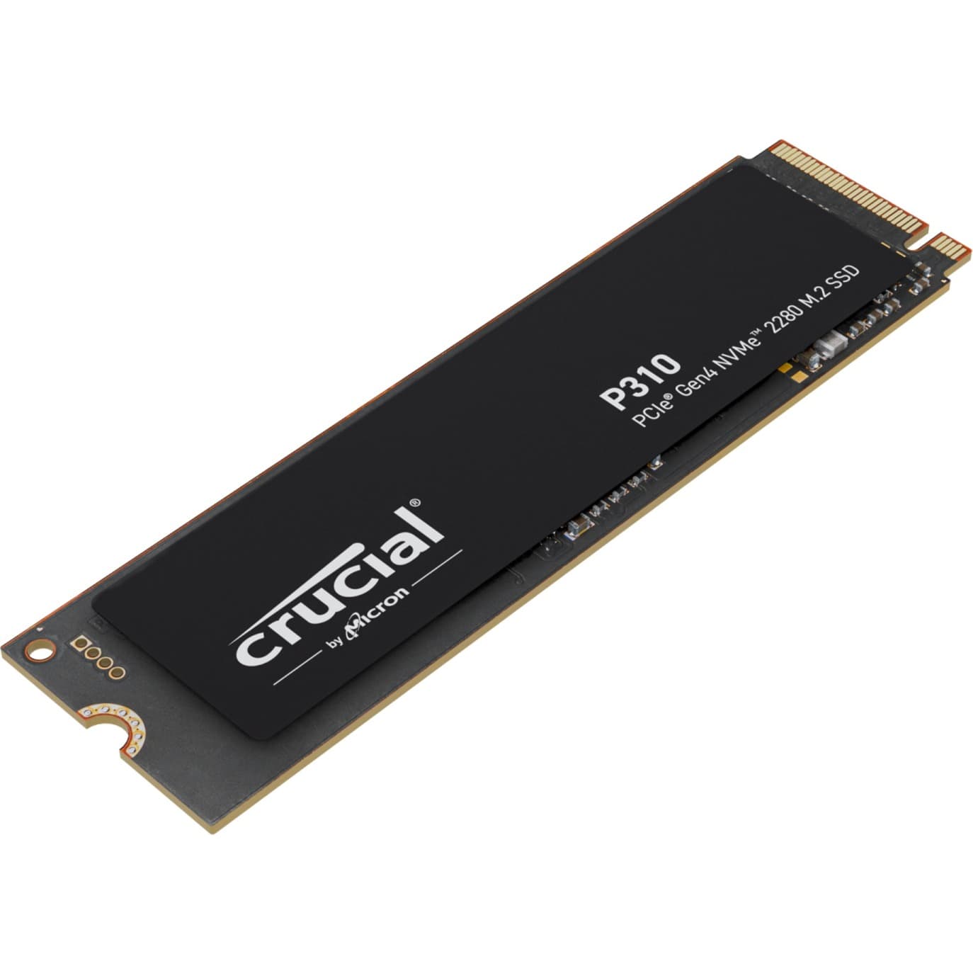 P310 1 TB, SSD – Bild 1