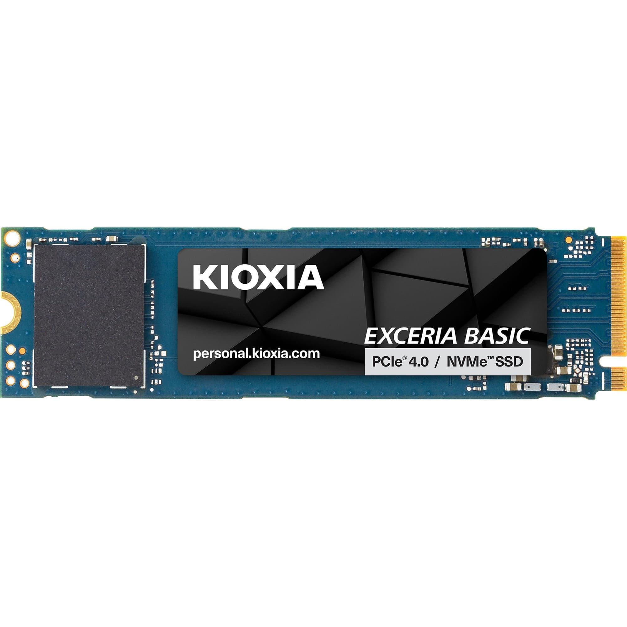 Exceria Basic 1 TB, SSD – Bild 1