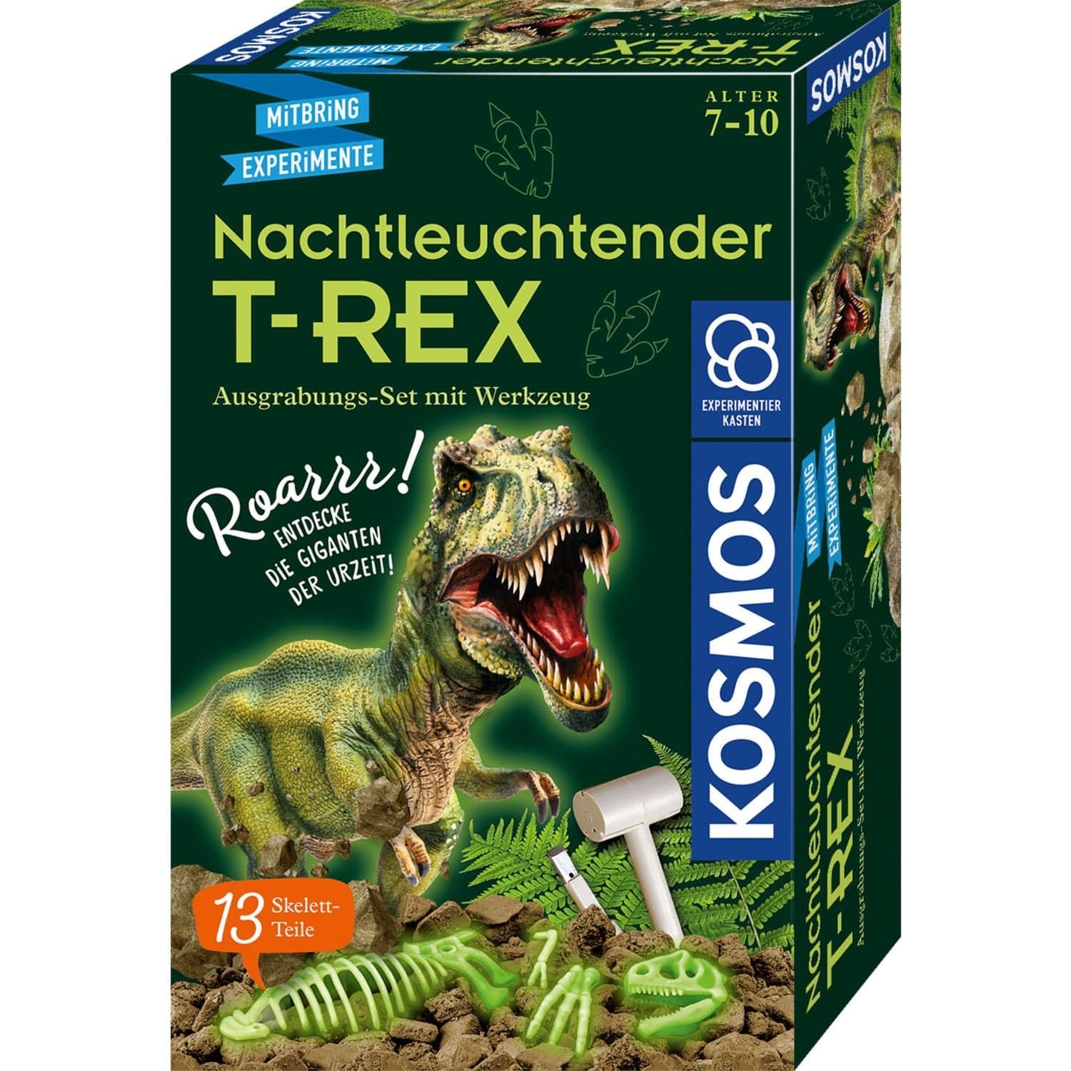 Nachtleuchtender T-REX, Experimentierkasten – Bild 1