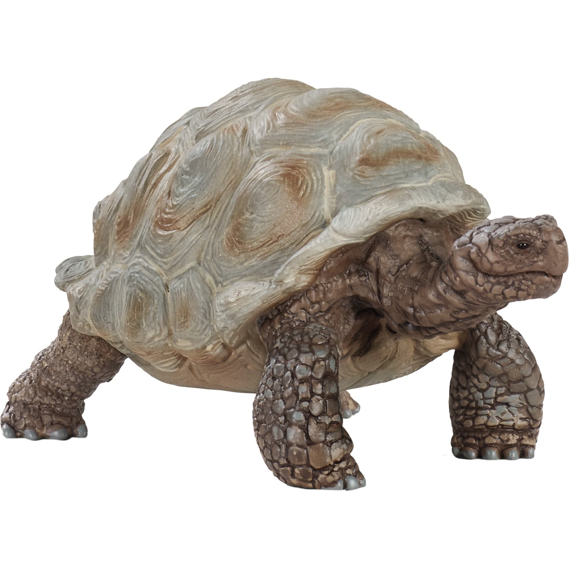 Wild Life Riesenschildkröte, Spielfigur – Bild 1