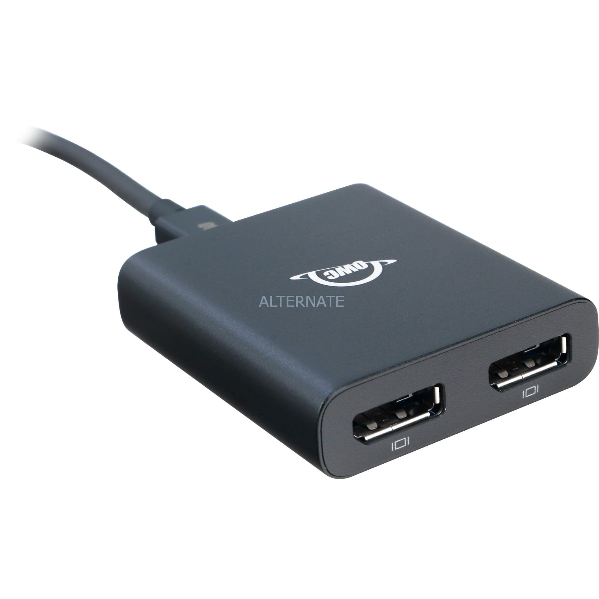 Thunderbolt 3/2x DisplayPort Adapter – Bild 1