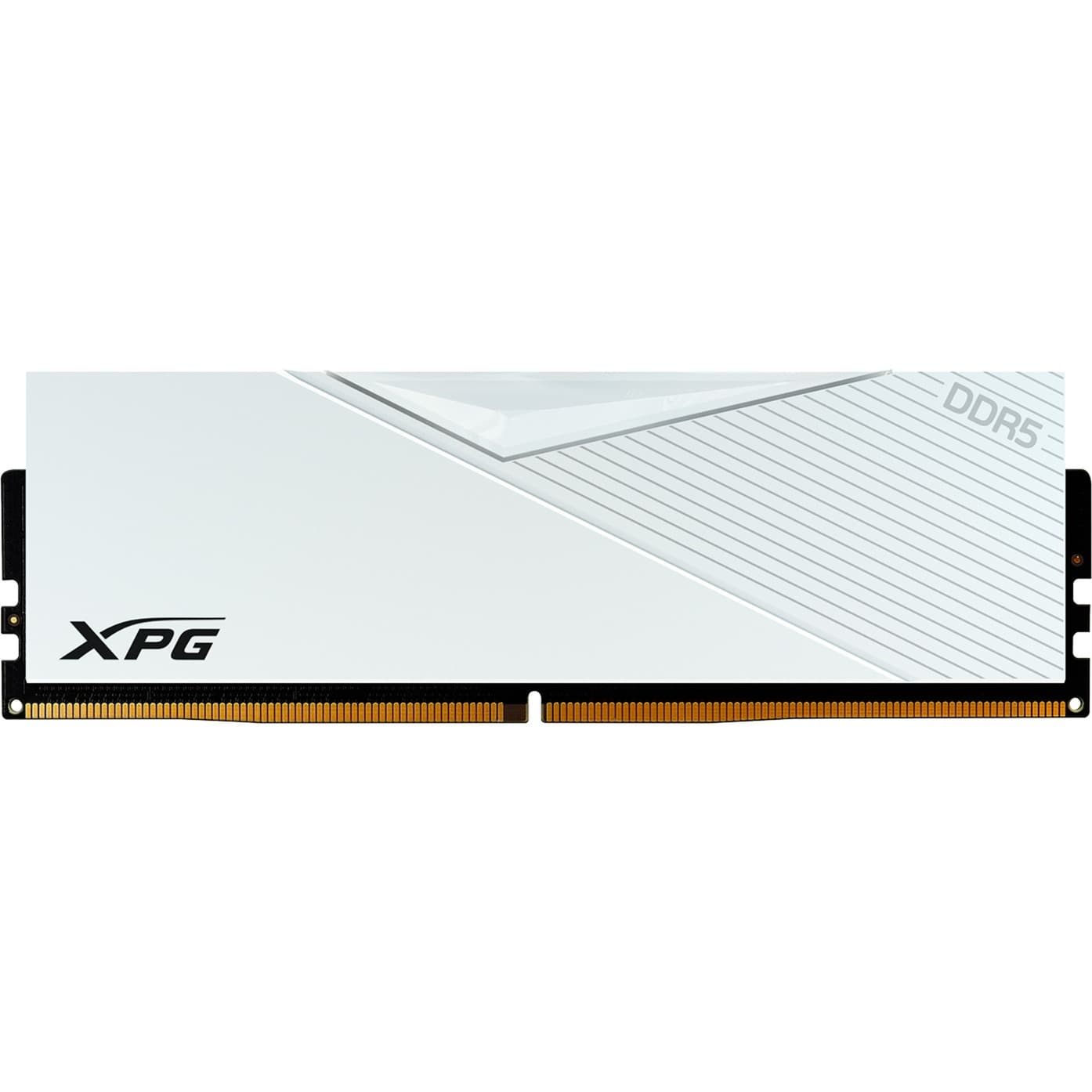 DIMM 16 GB DDR5-6000  , Arbeitsspeicher – Bild 1