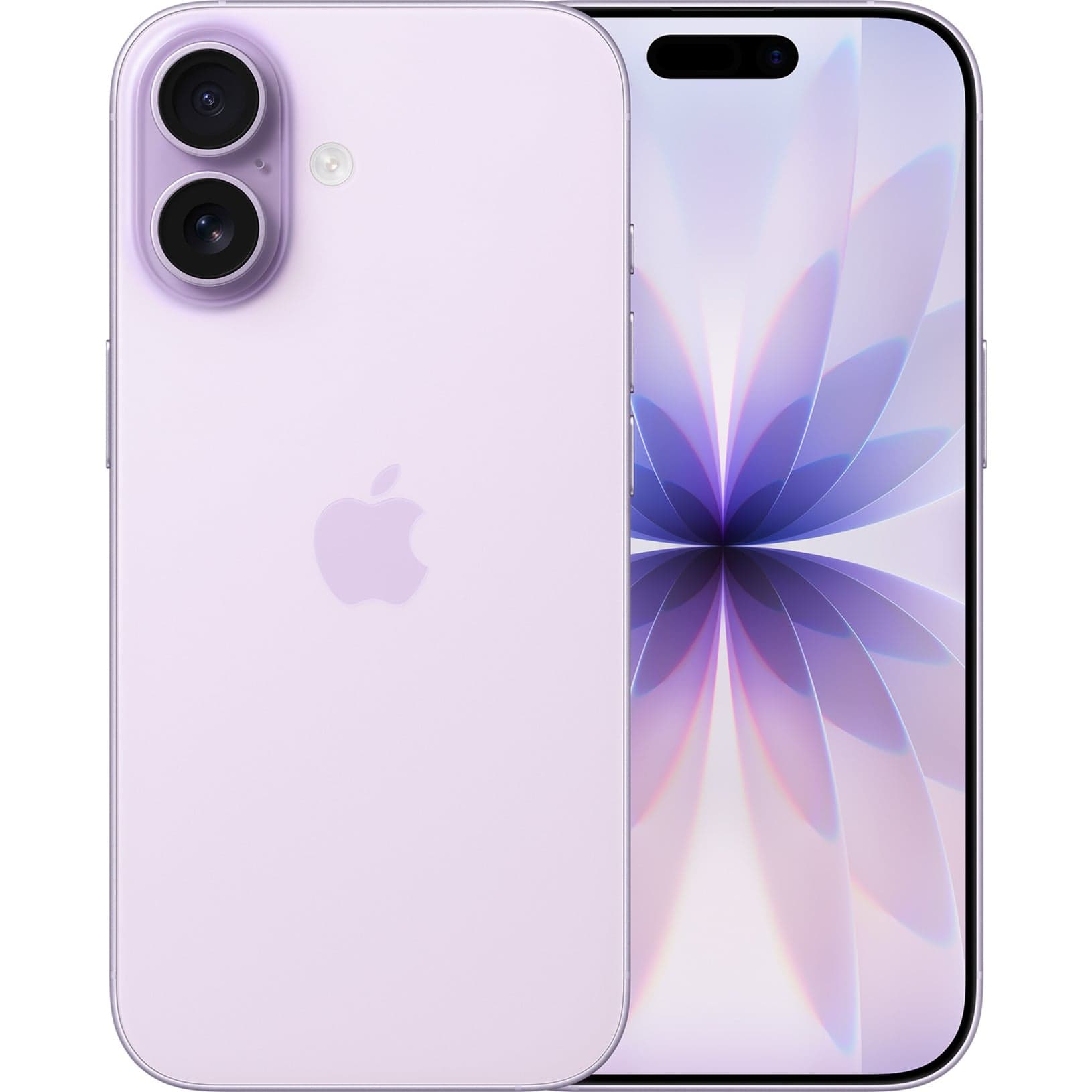 iPhone 17 256GB, Handy