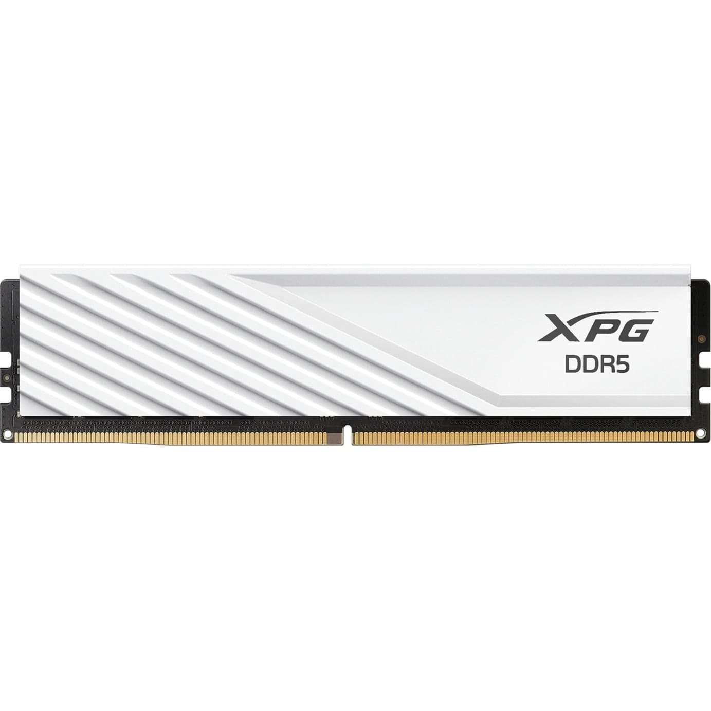 DIMM 16 GB DDR5-6000, Arbeitsspeicher – Bild 1