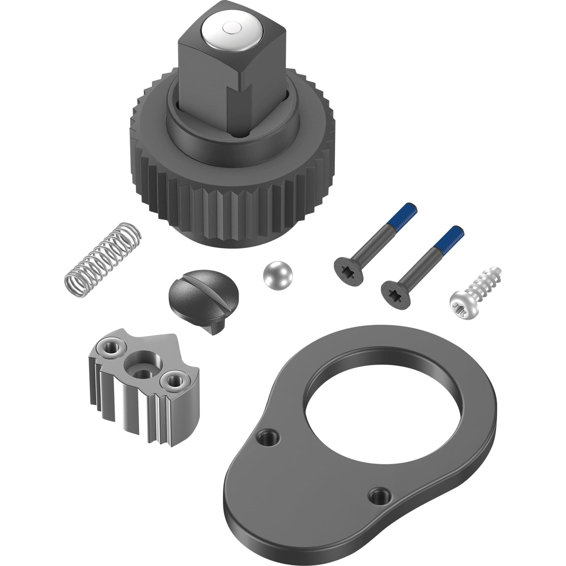C2 / C3 Push Knarren-Reparaturset – Bild 1