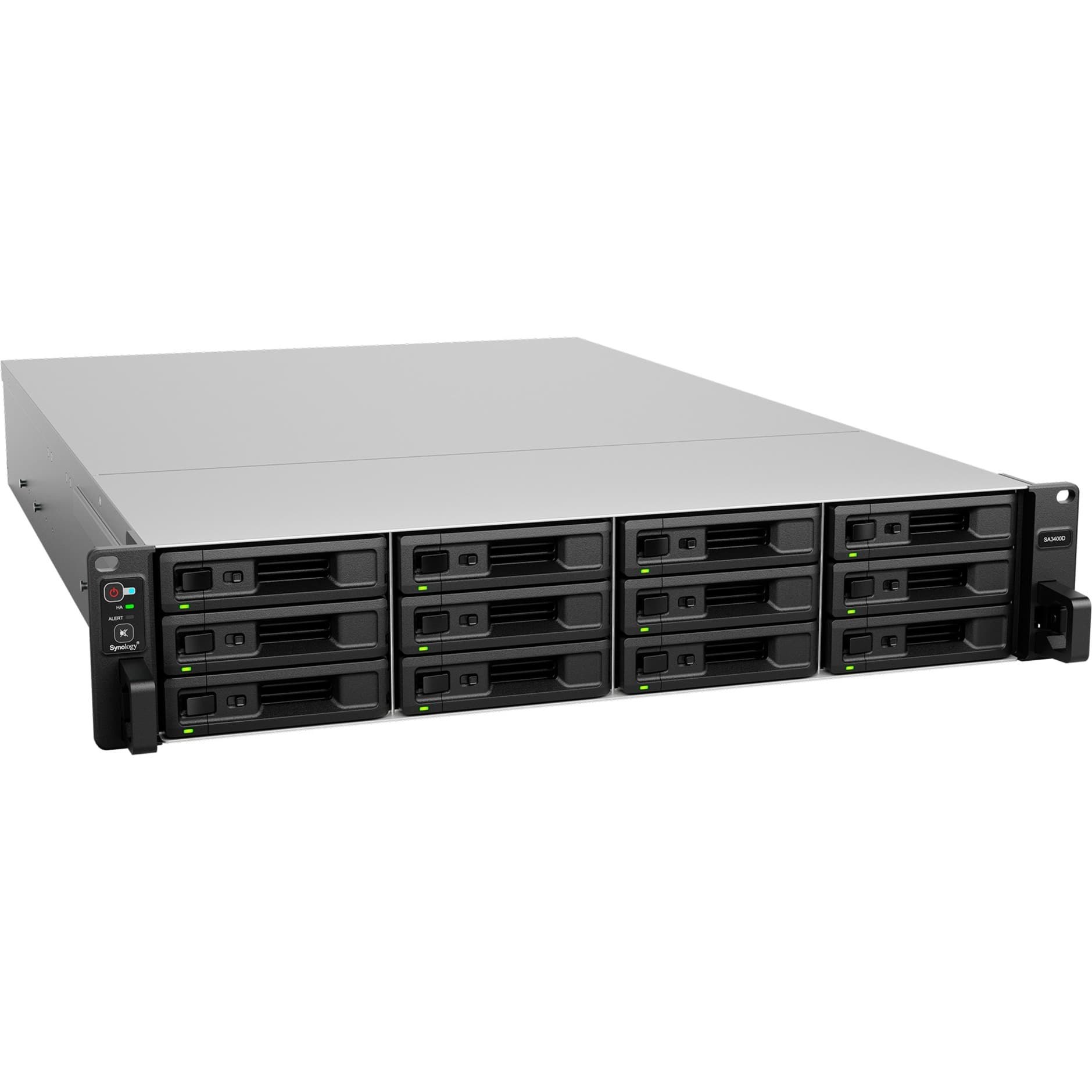 SA3400D SAS, NAS