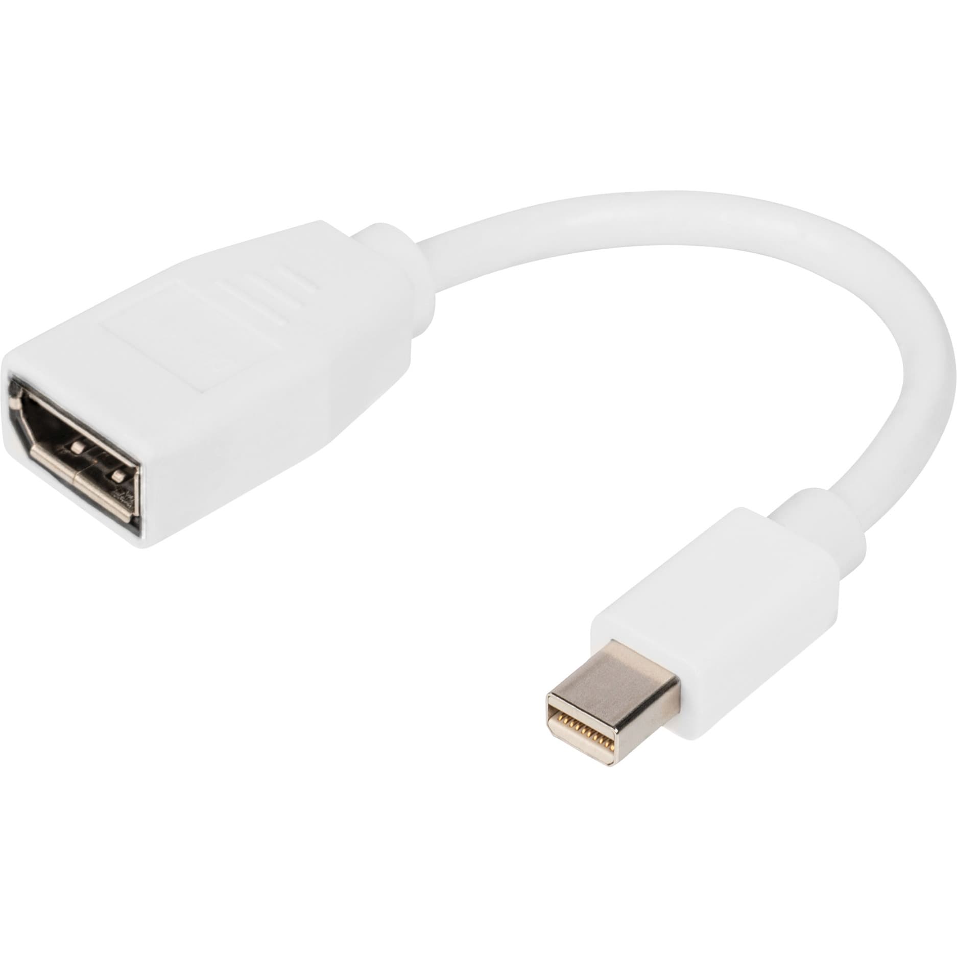 DisplayPort Adapterkabel – Bild 1