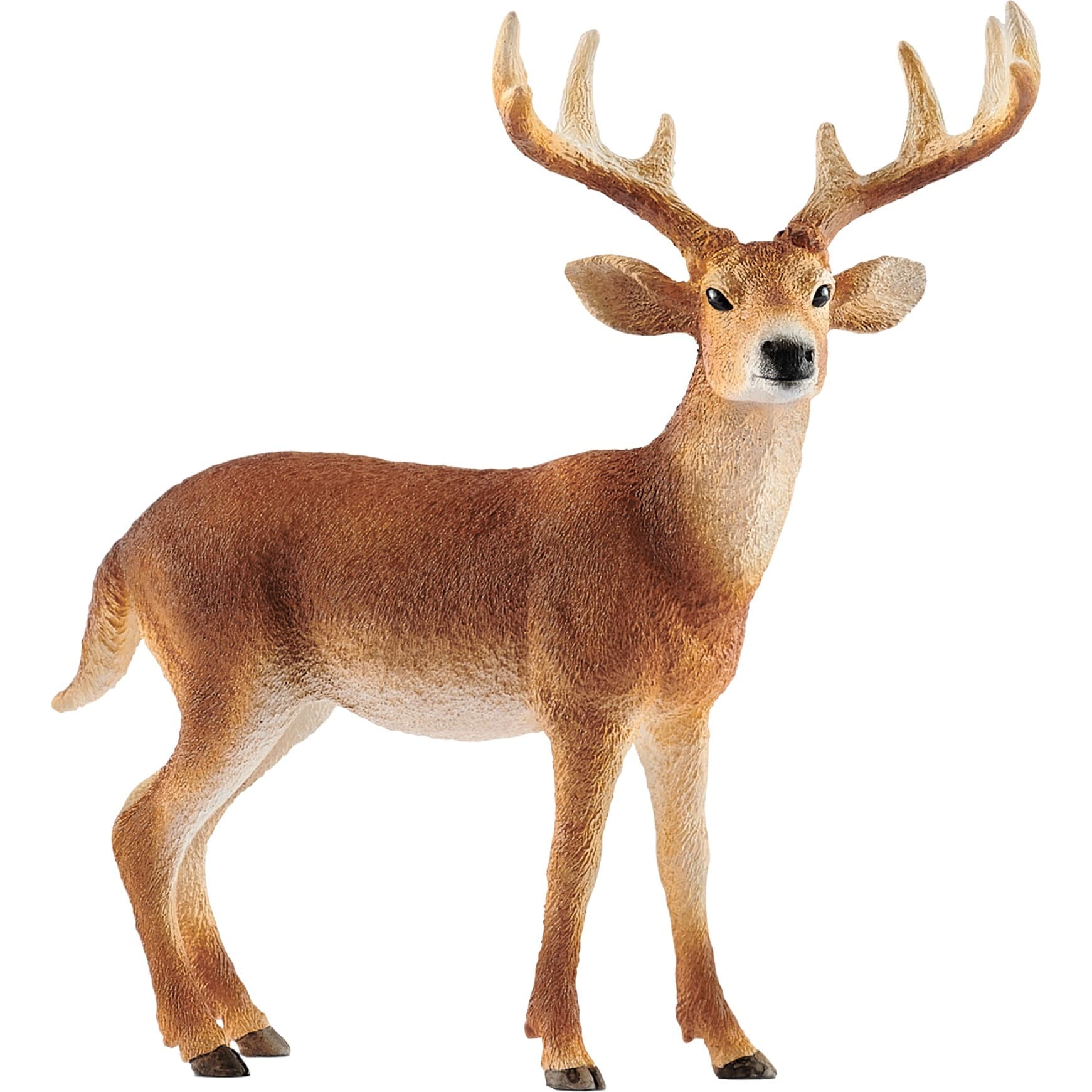 Wild Life Weißwedelhirsch, Spielfigur – Bild 1