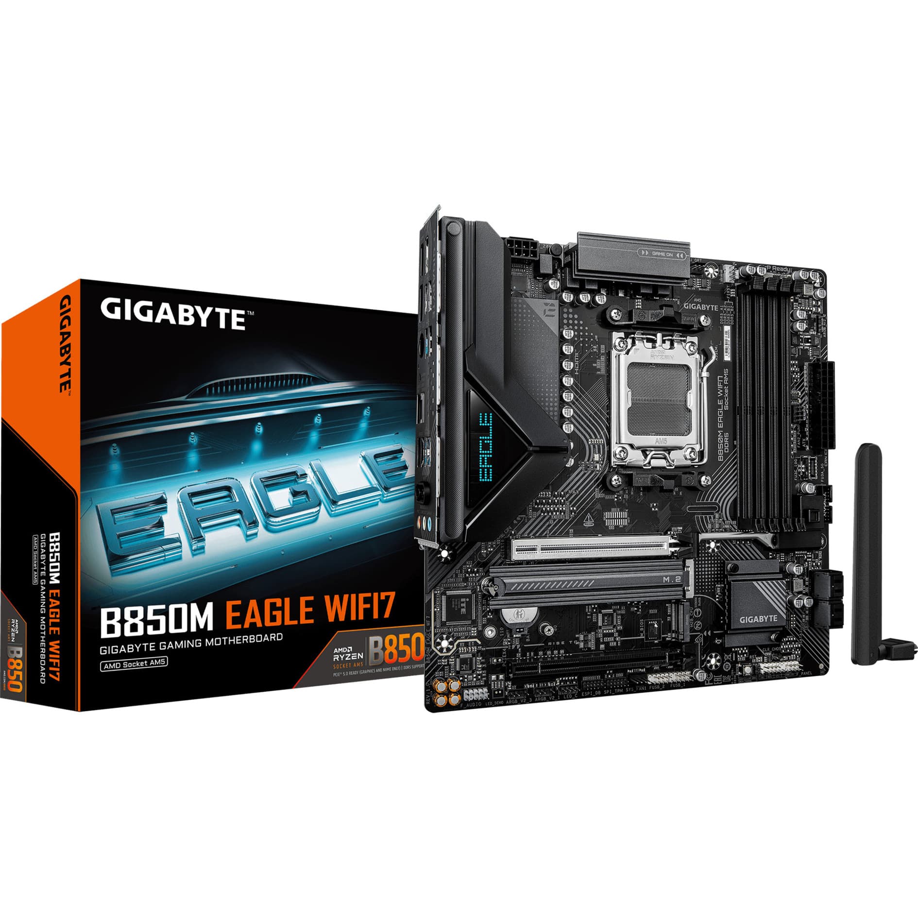 B850M EAGLE WIFI7, Mainboard – Bild 1