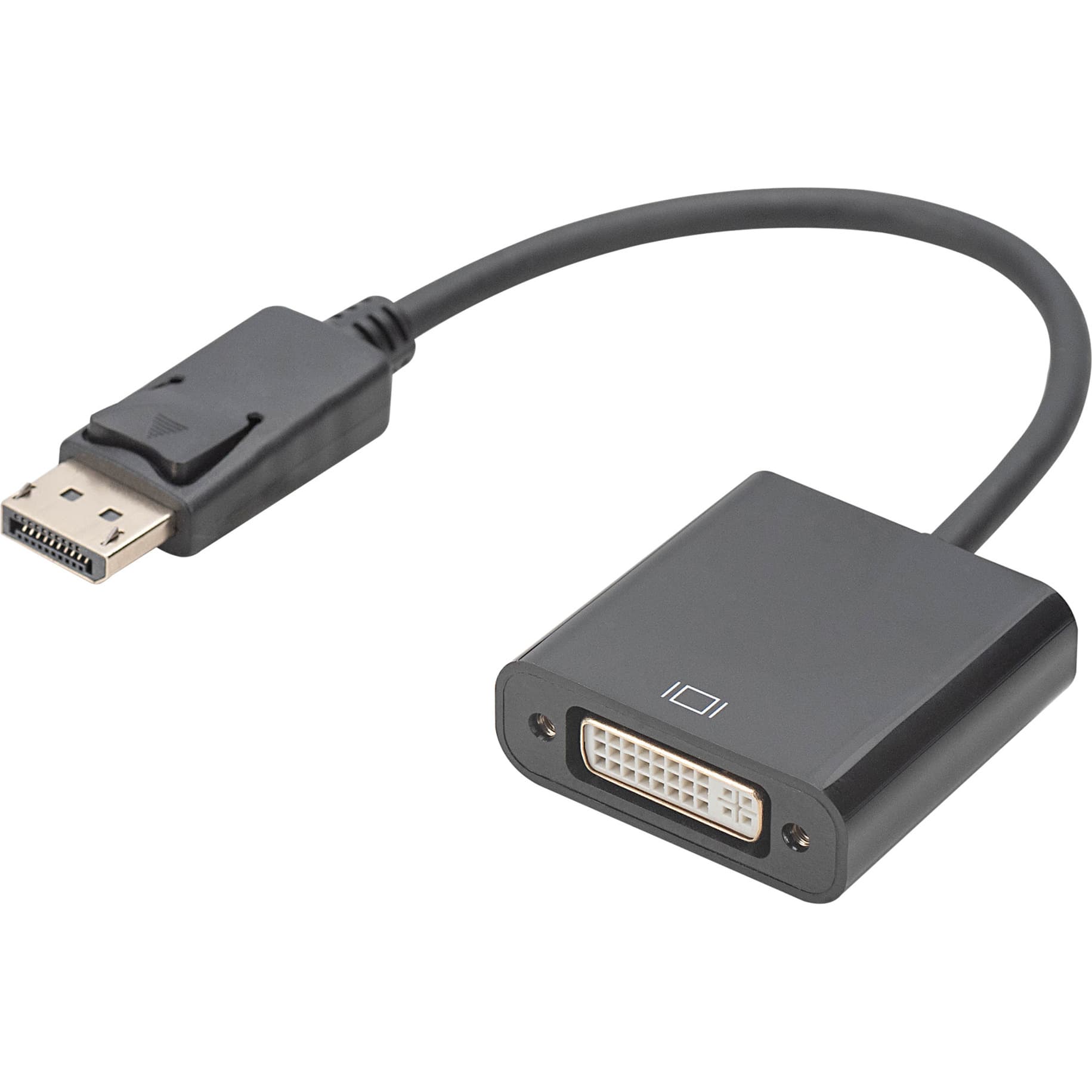 DisplayPort auf DVI Adapter / Konverter – Bild 1