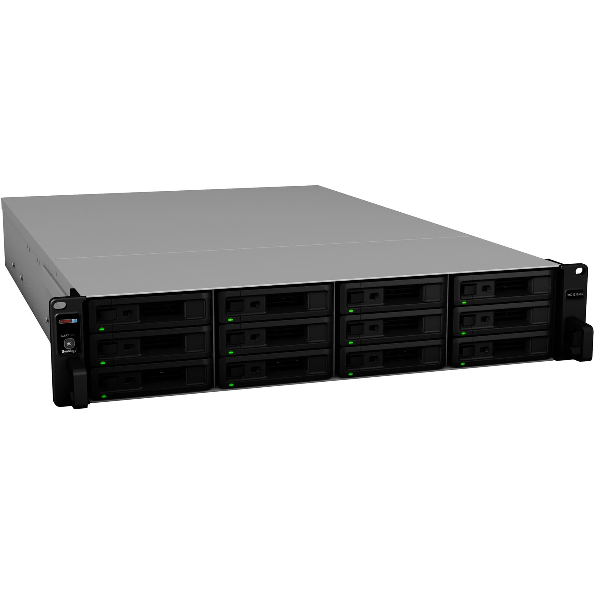 RX1219sas, NAS – Bild 1