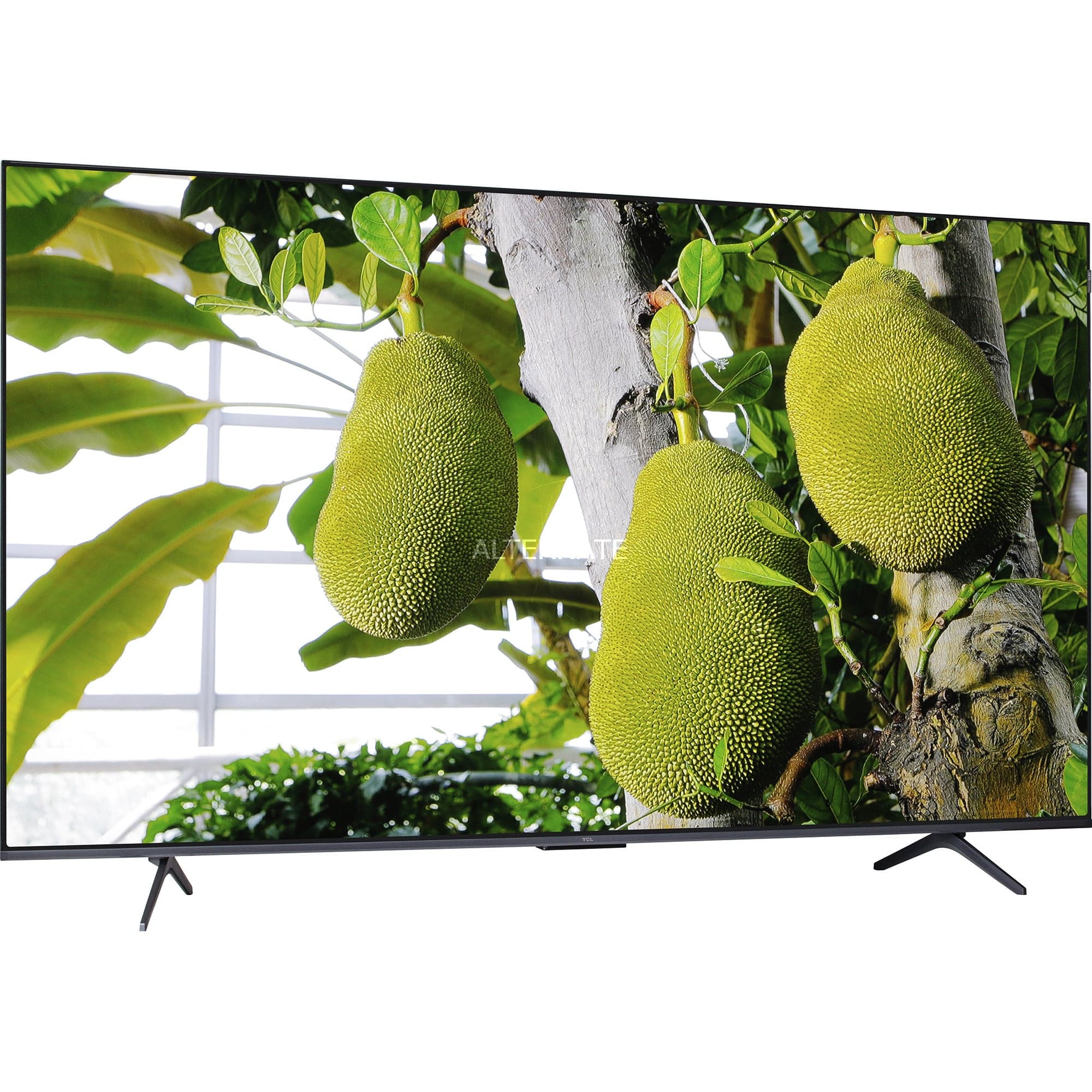 55T8C, QLED-Fernseher – Bild 1