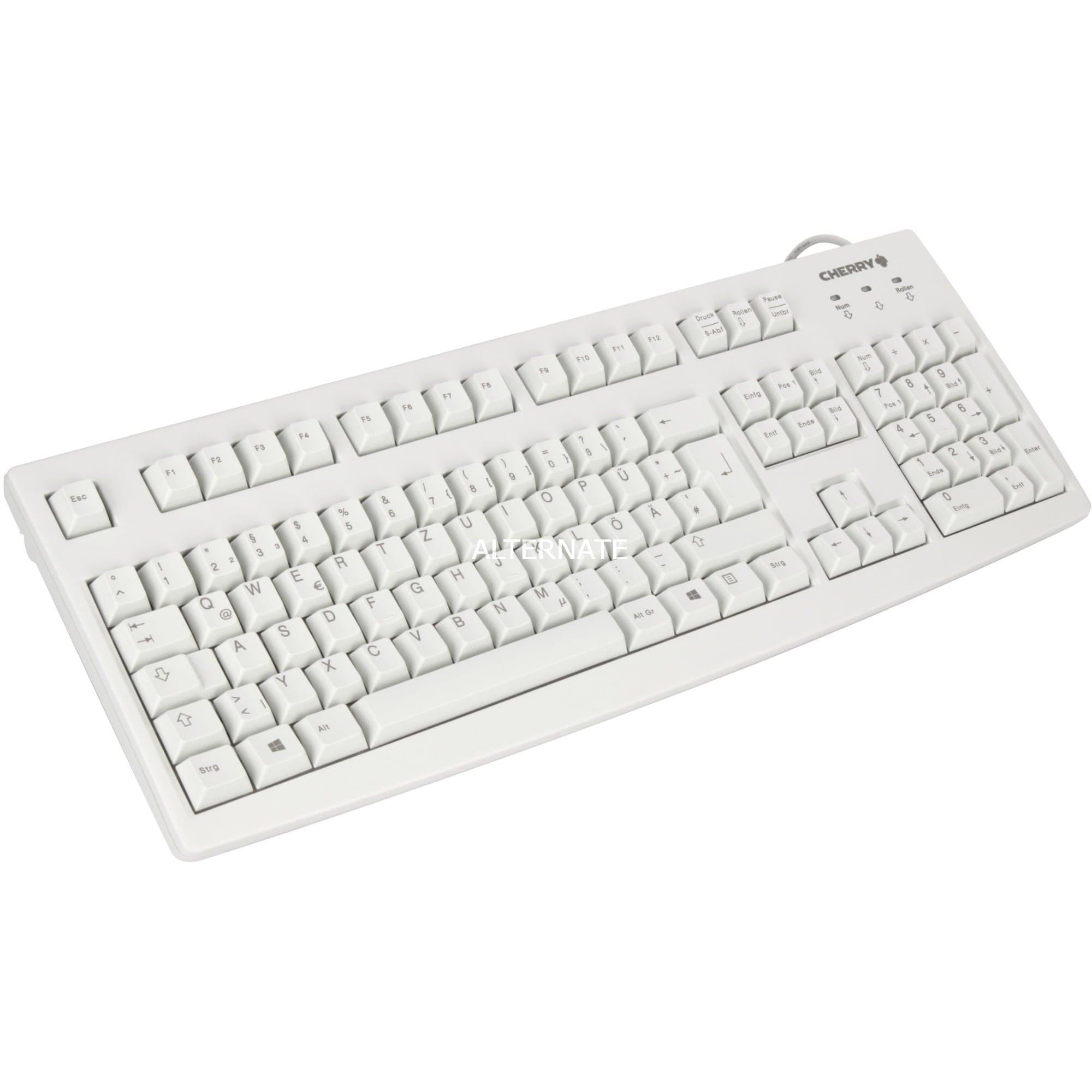 Business Line G83-6105, Tastatur – Bild 1