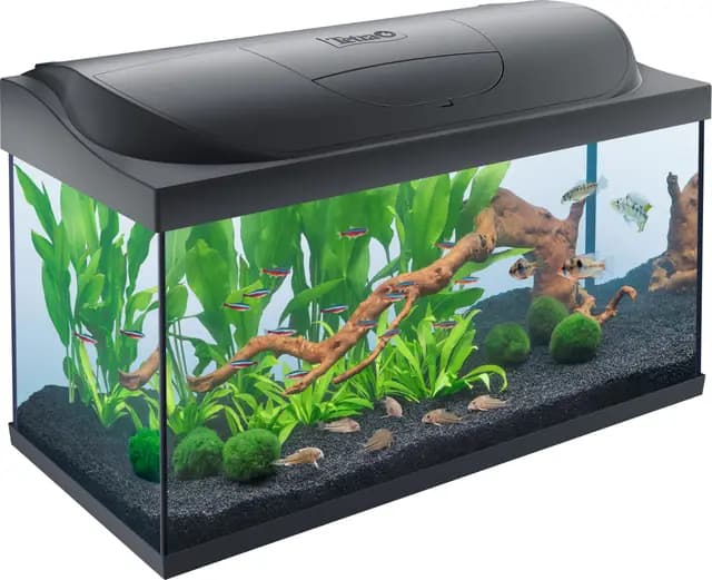 Tetra Starter Line 105 L Aquarium Set