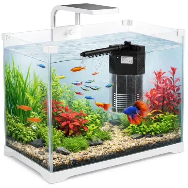 Krüger Meier Shrimp!One Pro 50 Nano Aquarium
