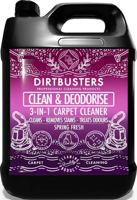 Dirtbusters 3-in-1 Teppichreiniger