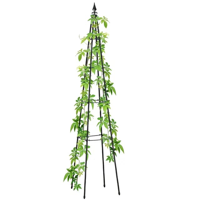 Gartenspalier Für Kletterpflanzen, Rankhilfe Rosen,freistehende Außenbereich Pflanzenständer für Garten,Schwarz,170cm,1PC