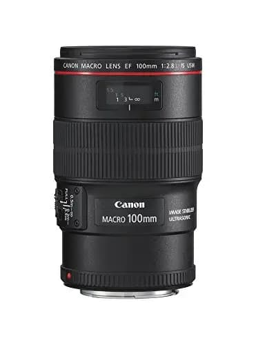 Canon EF 100mm F2.8 L IS USM Macro-Objektiv (67mm Filtergewinde, bildstabilisiert) schwarz