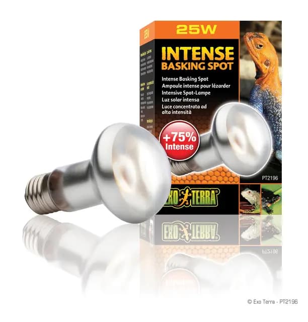 Exo Terra Intense Basking Spot Lampe