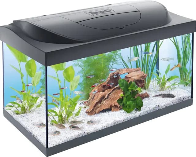 Tetra Starter Line 54L Aquarium Set